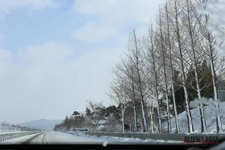 재규어 XE 20t 와 함께한 안면도 눈길 드라이빙!          진정한(원치 않았던) 눈길 시승기 / 성남시 분당구 운중동