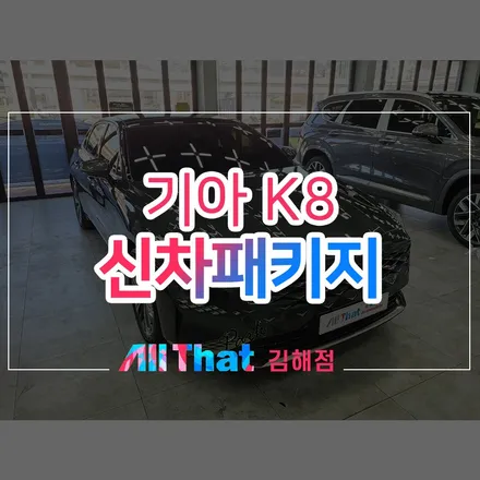 김해 PPF 시공을 포함한 신차패키지. / 김해시 삼정동