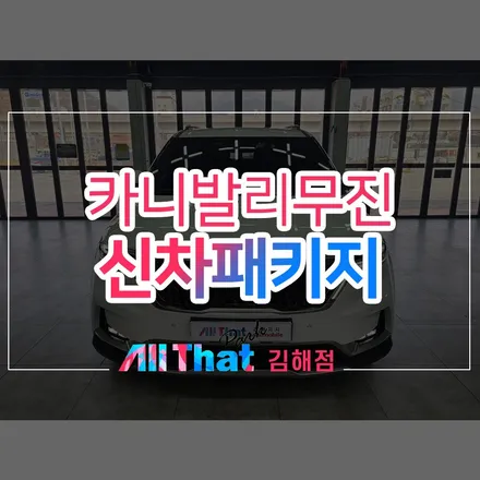 양산 카니발 신차패키지, 하이리무진에 열차단 필름. / 김해시 삼정동
