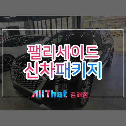 창원 신차검수부터 팰리세이드 버텍스 썬팅까지 / 김해시 삼정동