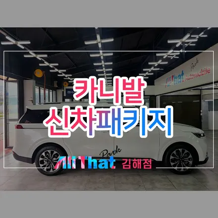 틴큐브 Q90 30% 농도 시공, 카니발에 입혀진다면? / 김해시 삼정동