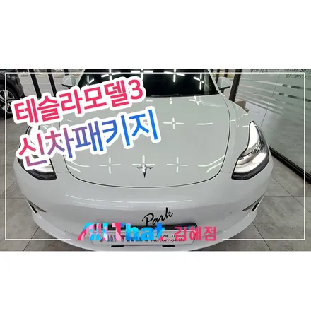 김해썬팅 대표 시공샵이 시공하는 고난이도 테슬라 모델3 시공기 / 김해시 삼정동