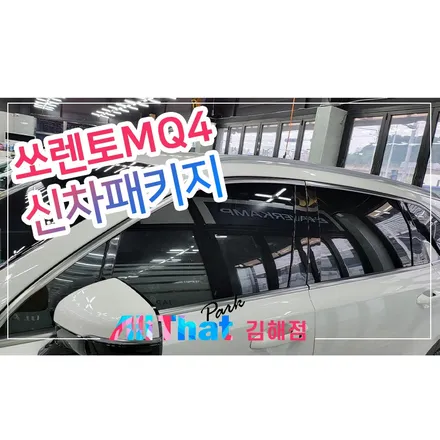김해 신차검수 프리미엄 신차패키지 / 김해시 삼정동