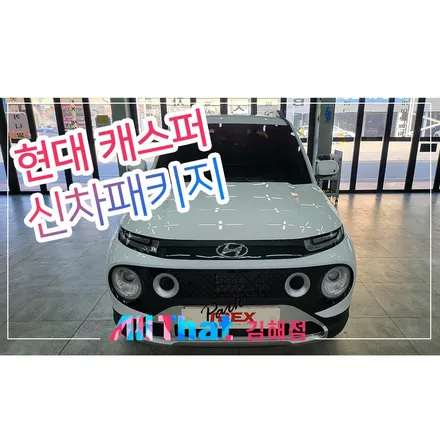 부산 명지 신차검수후 패키지까지 한번에 / 김해시 삼정동