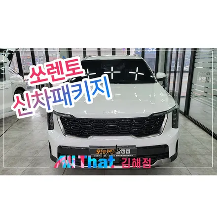 김해진영 신차패키지로 한번에 끝 (썬팅+블랙박스+PPF) / 김해시 삼정동