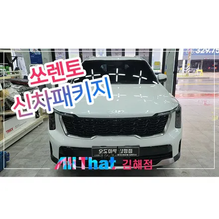 창원썬팅 깔끔하고 정교한 전문가의 손길을 느껴보세요 / 김해시 삼정동