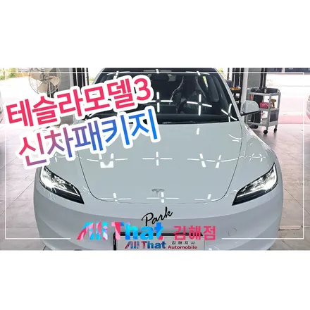 김해 창원 테슬라 모델3 썬팅 신차패키지 / 김해시 삼정동