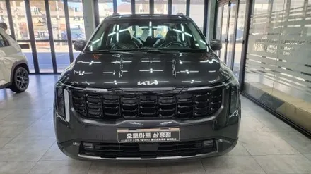 창원 카니발 신차패키지 퀄리티가 대박입니다 / 김해시 삼정동
