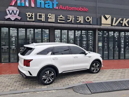 양산 신차검수 도장불량 및 단차가? / 김해시 삼정동