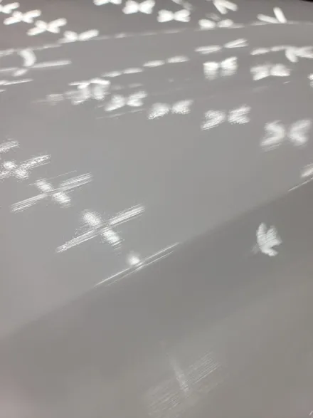 김해  팰리세이드 캘리그라피 신차패키지 신차검수 / 김해시 삼정동