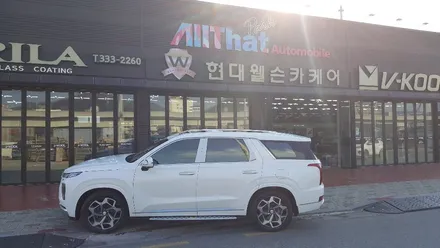 올댓오토모빌 팰리세이드 신차패키지 STYLE6번작업입니다 / 김해시 삼정동