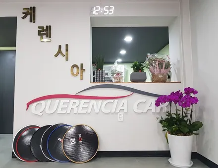 스팅어 휠프로텍터 휠보레 19인치 블랙컬러 장착~휠보호/휠튜닝/휠기스방지/휠스크래치/휠가드/휠커버~강남/송파/강동/하남 자동차튜닝/용품/자동차튜닝샵~케렌시아카! / 서울 송파