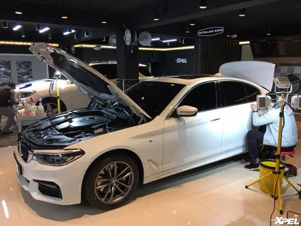 BMW530i PPF시공. 최고급 엑스펠 얼티메이트 선택. BMW5시리즈 스크래치 방지 / 서초구 서초동