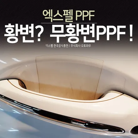 PPF 필름 황변문제와  PPF 관리법 제대로 알기 (PPF전용 실런트 클리너) / 서초구 서초동