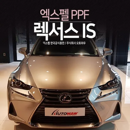 렉서스IS 필수PPF시공. 엑스펠 본사 오토와우 / 서초구 서초동