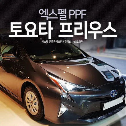 토요타 프리우스 앞범퍼 PPF시공받았어요! 믿을수있는 PPF 엑스펠 / 서초구 서초동