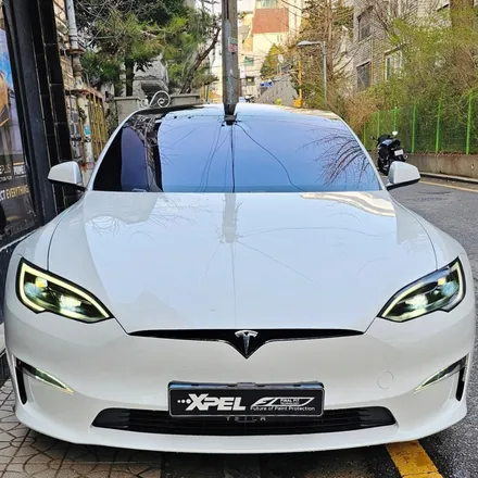 햇살 아래에서 펼쳐지는 드라이브: XPEL과 함께하는 Tesla Model S의 여정 / 서울 서초, 강남, 양재