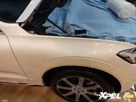 볼보 XC60 PPF 전체를 덮어볼까 / 서울 서초, 강남, 양재