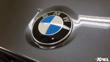BMW M4 까다로운 당신에게 딱 맞는 고퀄 PPF - 엑스펠 XPEL 본사 컴퓨터재단 전체시공 M4 ppf / 서초구 서초동