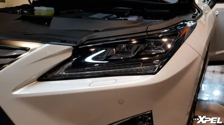 렉서스RX450h 엑스펠 PPF .  앞범퍼 앞휀더 뒷범퍼 뒷휀더 생활보호 시공 . 무황변10년보증 ! (PPF실런트 사용법) / 서초구 서초동