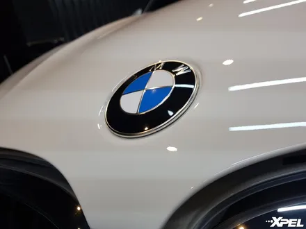 BMW X4 풀체인지 - 본넷, 문하단, 생활보호PPF시공. 변색없는 10년보증 엑스펠 필름 / 서초구 서초동