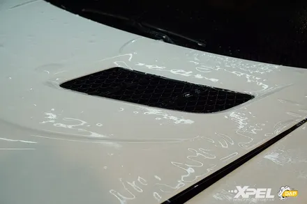 벤츠 SLS PPF 황변과 재단불량 스트레스 엑스펠에서 힐링 / 서울 서초, 강남, 양재