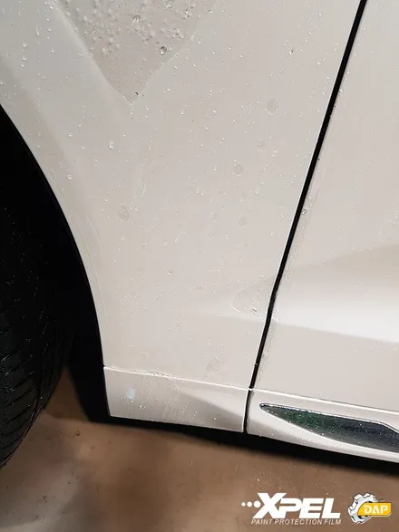 볼보 XC60 PPF 전체를 덮어볼까 / 서울 서초, 강남, 양재