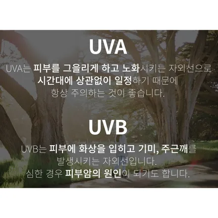 잘 어울리는 테슬라 모델X 썬팅 엑스펠 프라임 XR 플러스 / 서울 서초, 강남, 양재