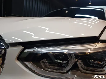 BMW X4 풀체인지 - 본넷, 문하단, 생활보호PPF시공. 변색없는 10년보증 엑스펠 필름 / 서초구 서초동
