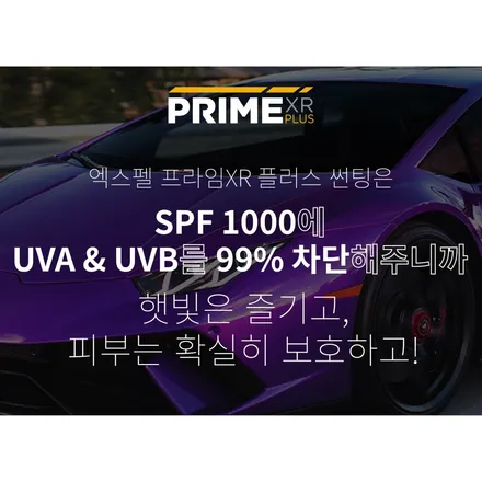 잘 어울리는 테슬라 모델X 썬팅 엑스펠 프라임 XR 플러스 / 서울 서초, 강남, 양재