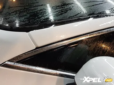 볼보 XC60 PPF 전체를 덮어볼까 / 서울 서초, 강남, 양재
