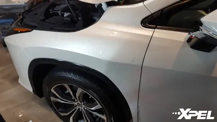 렉서스RX450h 엑스펠 PPF .  앞범퍼 앞휀더 뒷범퍼 뒷휀더 생활보호 시공 . 무황변10년보증 ! (PPF실런트 사용법) / 서초구 서초동