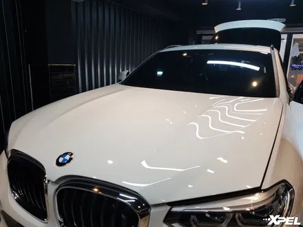 BMW X4 풀체인지 - 본넷, 문하단, 생활보호PPF시공. 변색없는 10년보증 엑스펠 필름 / 서초구 서초동