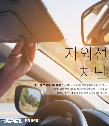 [엑스펠] 테슬라 모델X 신차 패키지, 출고 패키지, 썬팅 패키지 / 서울 서초, 강남, 양재