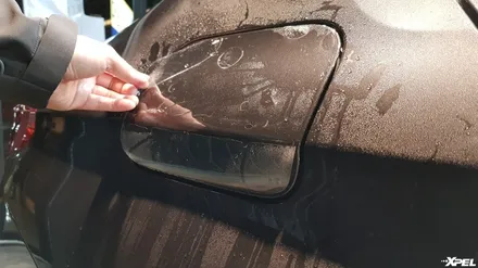 BMW 5시리즈 본넷 스톤칩 방지 필름. 믿을 수 있는 PPF브랜드 엑스펠 XPEL. 한국본사 오토와우 / 서초구 서초동