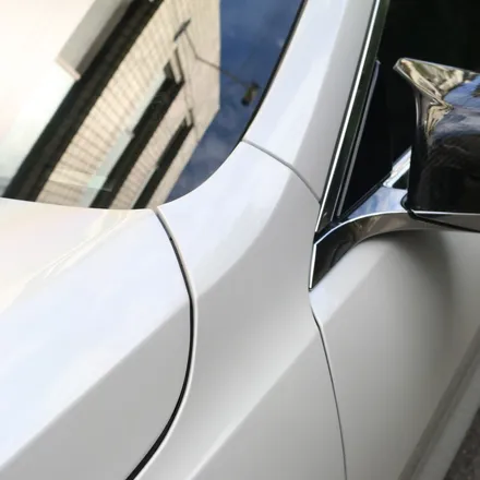 BMW M 브랜드 50주년 엠블럼도 보호해 주나요? BMW M850i PPF / 서울 서초, 강남, 양재