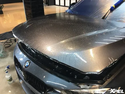 BMW330i 스톤칩 완벽보호 완료. 엑스펠PPF + 클리어플렉스 전면유리보호필름. 서초 오토와우 / 서초구 서초동