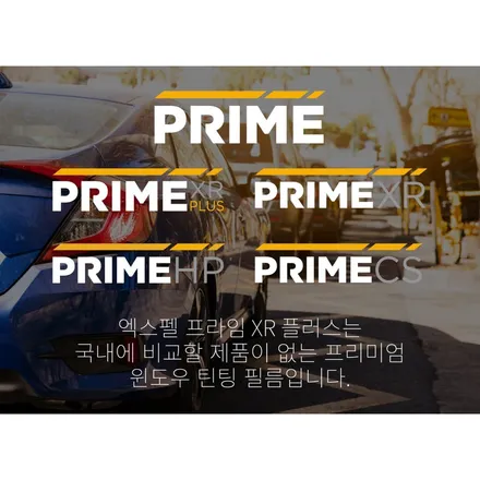 잘 어울리는 테슬라 모델X 썬팅 엑스펠 프라임 XR 플러스 / 서울 서초, 강남, 양재