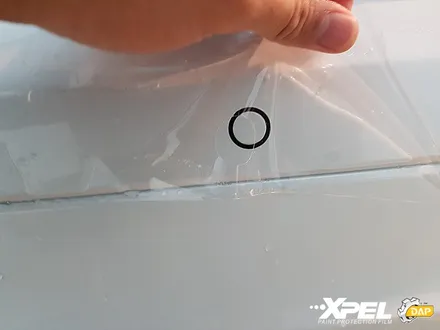 볼보 XC60 PPF 전체를 덮어볼까 / 서울 서초, 강남, 양재