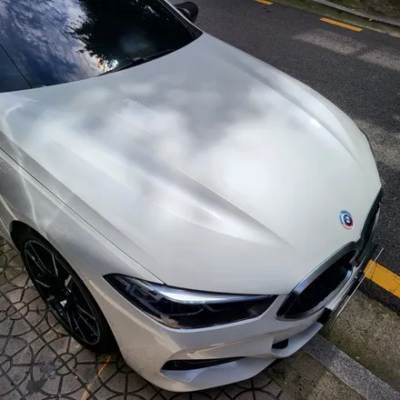 BMW M 브랜드 50주년 엠블럼도 보호해 주나요? BMW M850i PPF / 서울 서초, 강남, 양재