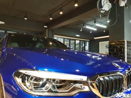 BMW M5 PPF시공. 스톤칩 스크래치 전체 보호 완료! 10년보증 최고급 엑스펠PPF / 서초구 서초동