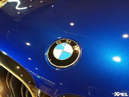 BMW M5 PPF시공. 스톤칩 스크래치 전체 보호 완료! 10년보증 최고급 엑스펠PPF / 서초구 서초동