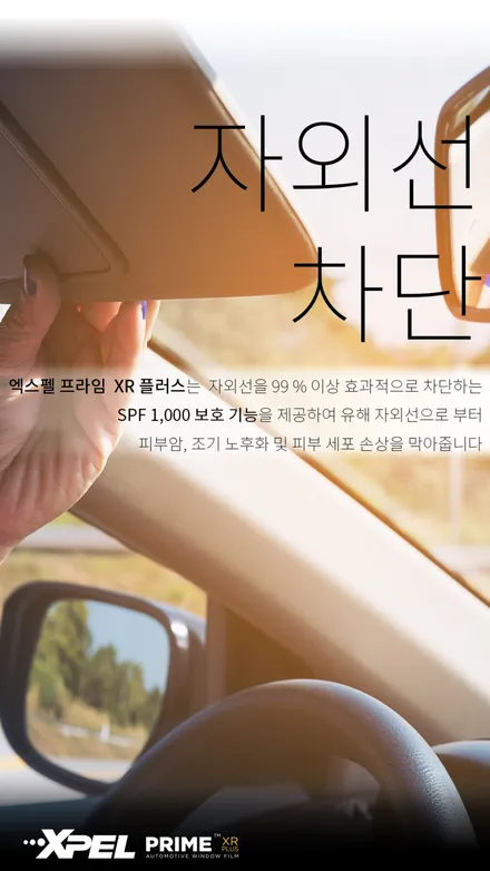 BMW M4, 엑스펠 프라임 XR 플러스 처방을 받다 / 서울 서초, 강남, 양재