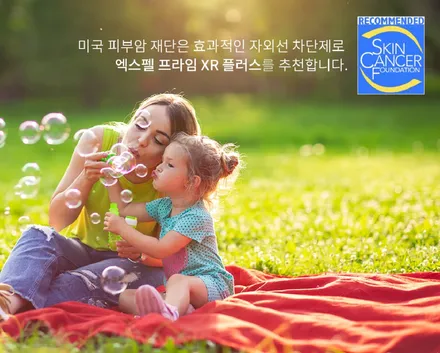 내 차를 위한 그 특별한 선택, 뒤에 숨겨진 프리미엄의 비밀은? / 서울 서초, 강남, 양재