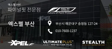 아우디 RS Q8 PPF, 이보다 더 좋을 순 없다 / 서울 서초, 강남, 양재