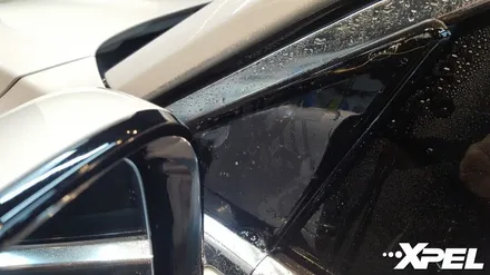 PPF시공 제대로 선택하기 -   BMW7시리즈 (BMW740Li From. 제주도) / 서초구 서초동