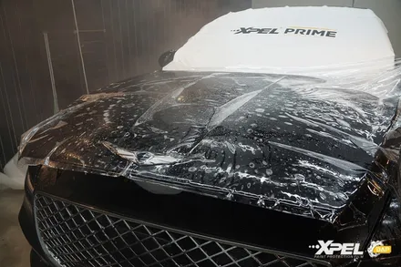 제네시스 G80 PPF 칼사용 제로! 엑스펠로 완성 / 서울 서초, 강남, 양재