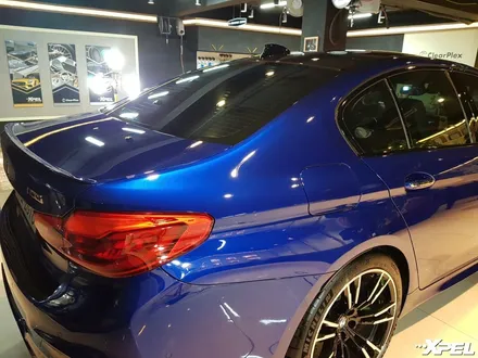 BMW M5 PPF시공. 스톤칩 스크래치 전체 보호 완료! 10년보증 최고급 엑스펠PPF / 서초구 서초동