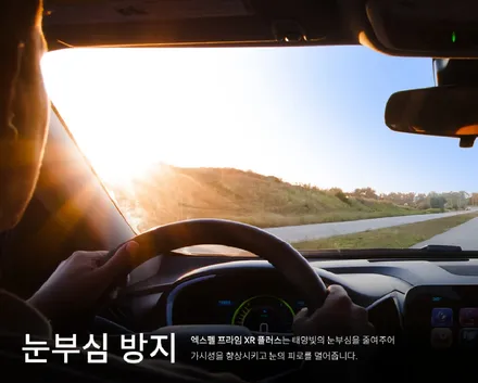테슬라 모델 X 프리미엄 썬팅을 만나다 / 서울 서초, 강남, 양재