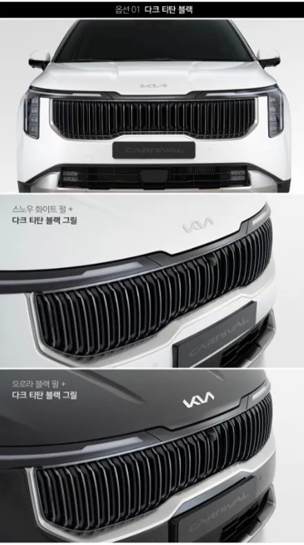 목포 카니발 그릴 튜닝 버티컬 라디에이터 그릴 하이 퀄리티 그릴 시공 / 목포시 옥암동